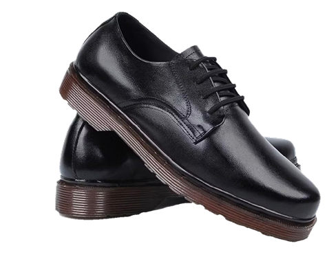 Card Shoe